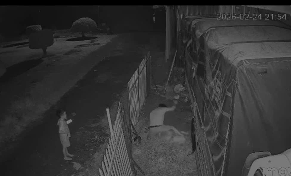 Khởi tố người đàn ông đâm chết người tình cũ vì ghen tuông 