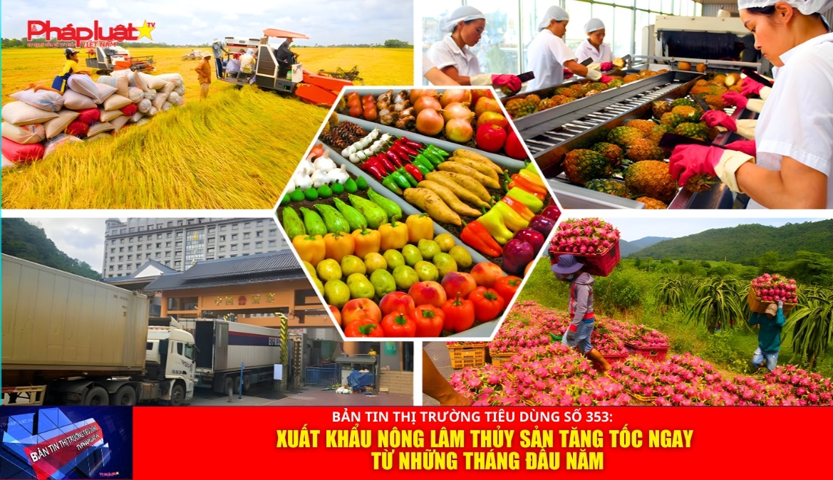 Bản tin Thị trường Tiêu dùng số 353: Xuất khẩu nông lâm thủy sản tăng tốc ngay từ những tháng đầu năm
