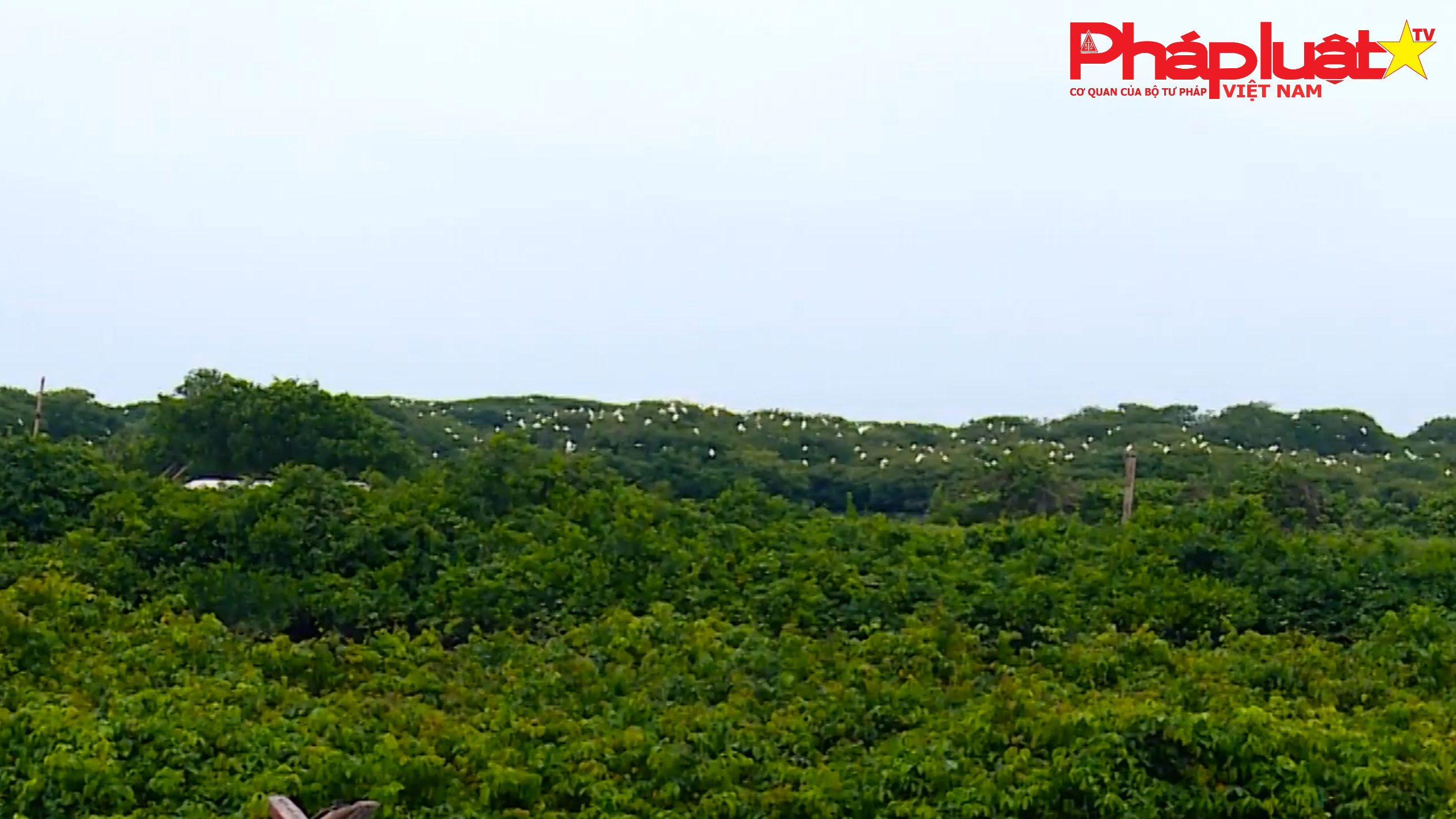 Ninh Bình Phát triển du lịch sinh thái tại Vườn quốc gia Xuân Thủy giai đoạn 2026–2030