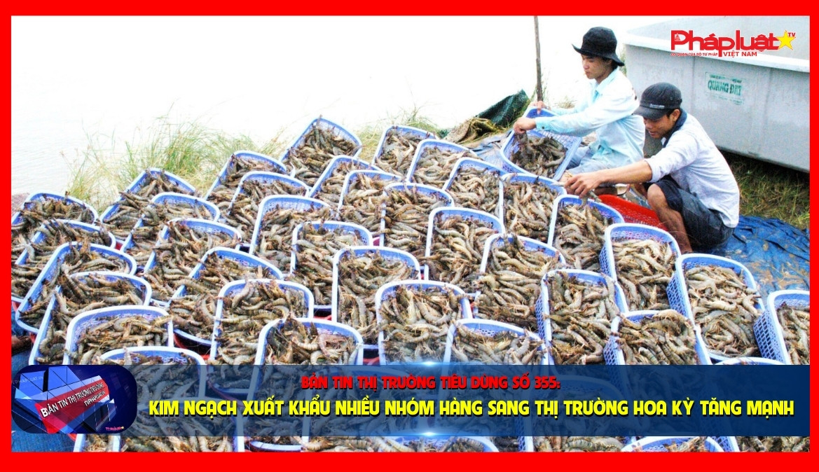 Bản tin Thị trường Tiêu dùng số 355: Kim ngạch xuất khẩu nhiều nhóm hàng sang thị trường Hoa Kỳ tăng mạnh