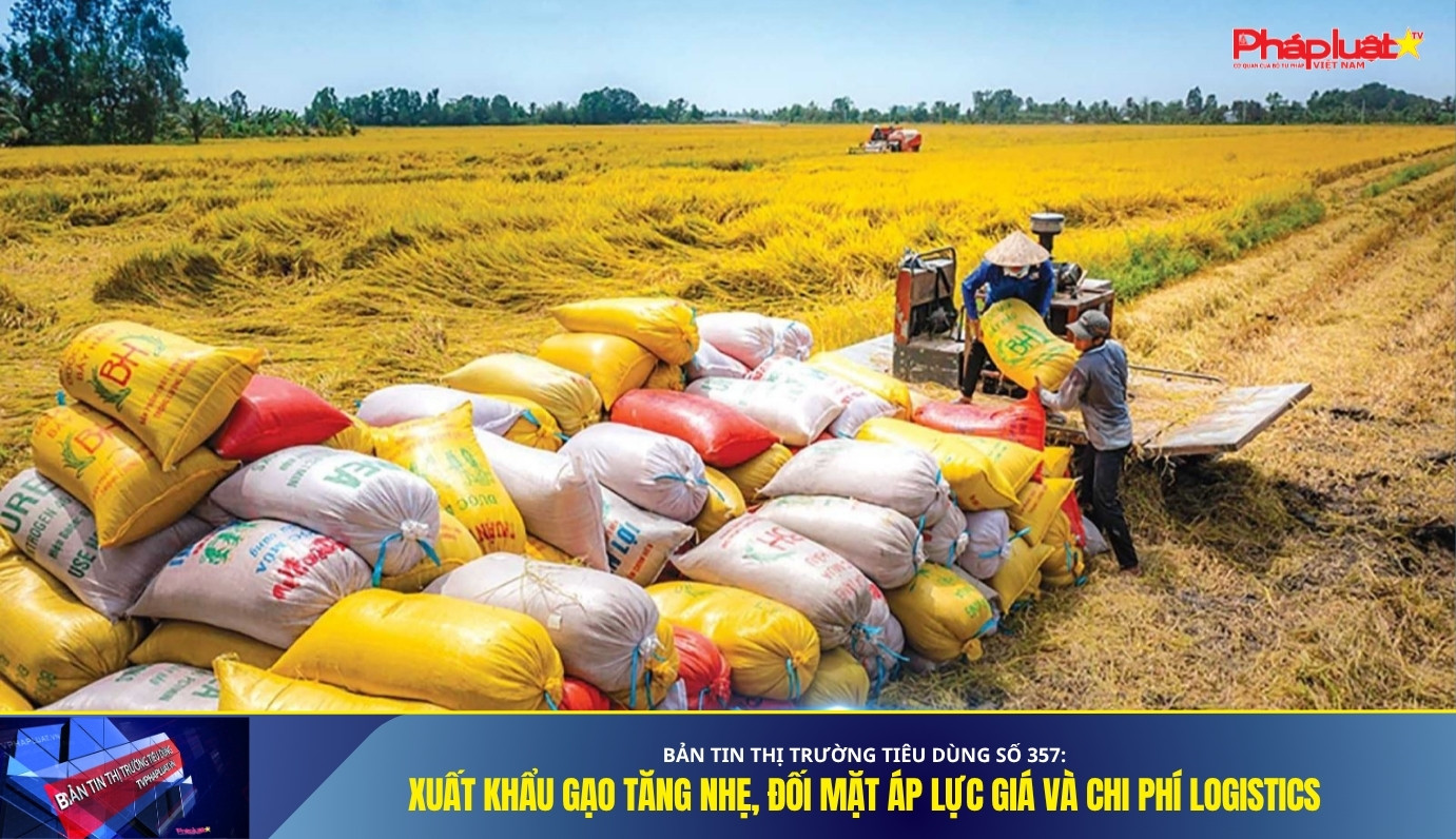 Bản tin Thị trường Tiêu dùng số 357: Xuất khẩu gạo tăng nhẹ, đối mặt áp lực giá và chi phí logistics