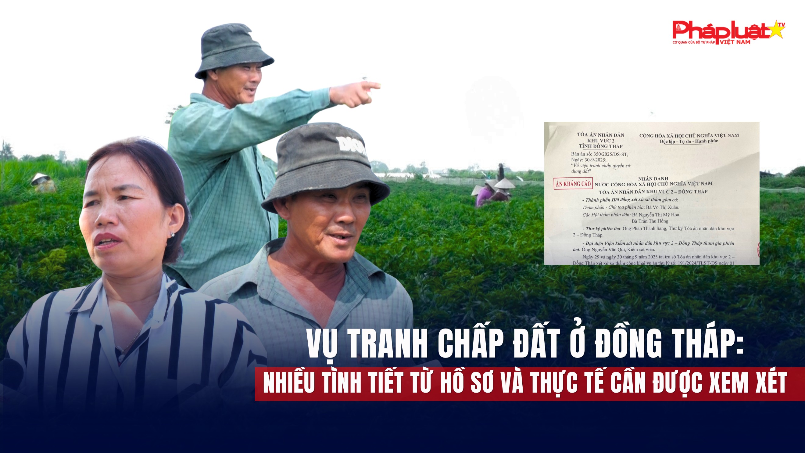 Vụ tranh chấp đất ở Đồng Tháp: Luật sư kiến nghị một số tình tiết cần được xem xét lại