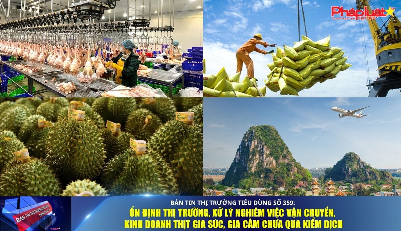 Bản tin Thị trường Tiêu dùng số 359: Ổn định thị trường, xử lý nghiêm việc vận chuyển, kinh doanh thịt gia súc, gia cầm chưa qua kiểm dịch