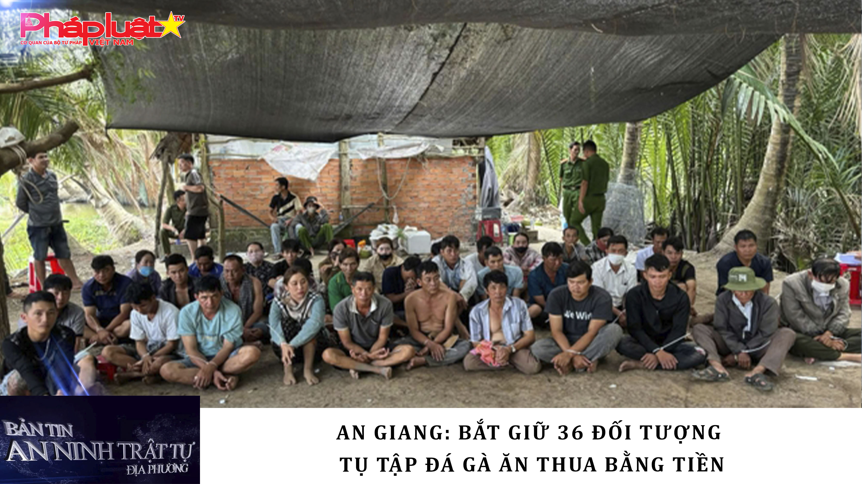 Bản tin An ninh trật tự địa phương (ngày 03/04/2026): An Giang: Bắt giữ 36 đối tượng tụ tập đá gà ăn thua bằng tiền