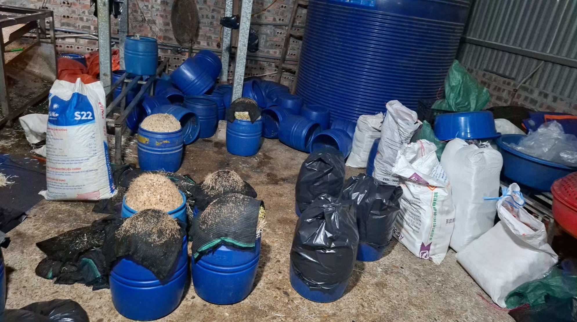 Phát hiện hơn 4 tấn giá đỗ chứa chất cấm