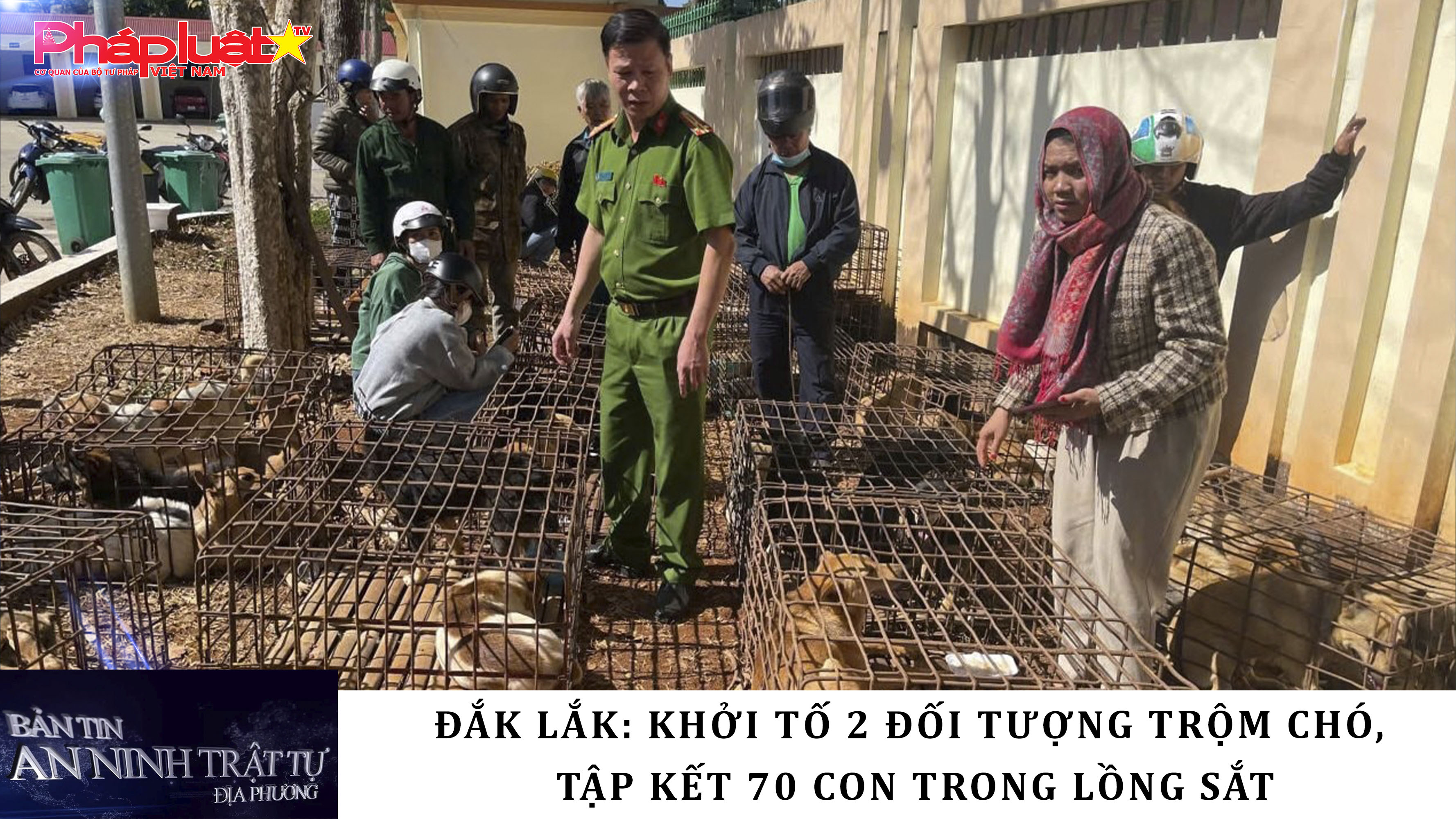 Bản tin An ninh trật tự địa phương (ngày 08/04/2026): Đắk Lắk: Khởi tố 2 đối tượng trộm chó, tập kết 70 con trong lồng sắt