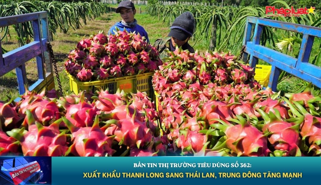 Bản tin Thị trường Tiêu dùng số 362: Xuất khẩu thanh long sang Thái Lan, Trung Đông tăng mạnh