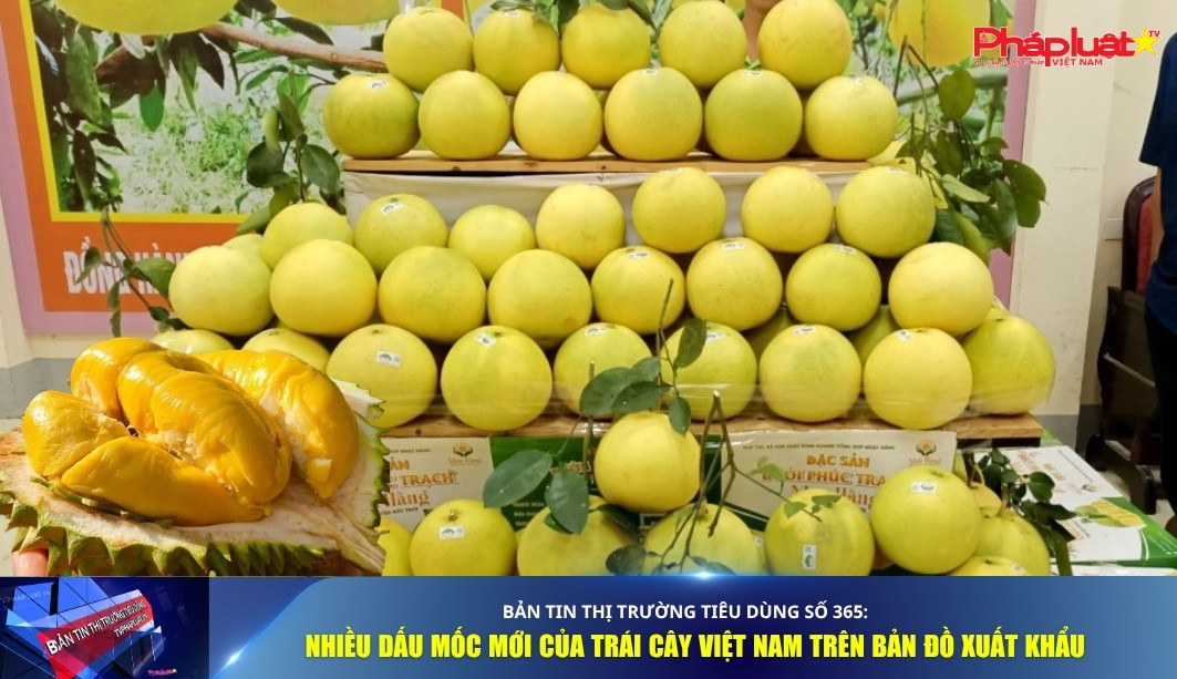 Bản tin Thị trường Tiêu dùng số 365: Nhiều dấu mốc mới của trái cây Việt Nam trên bản đồ xuất khẩu