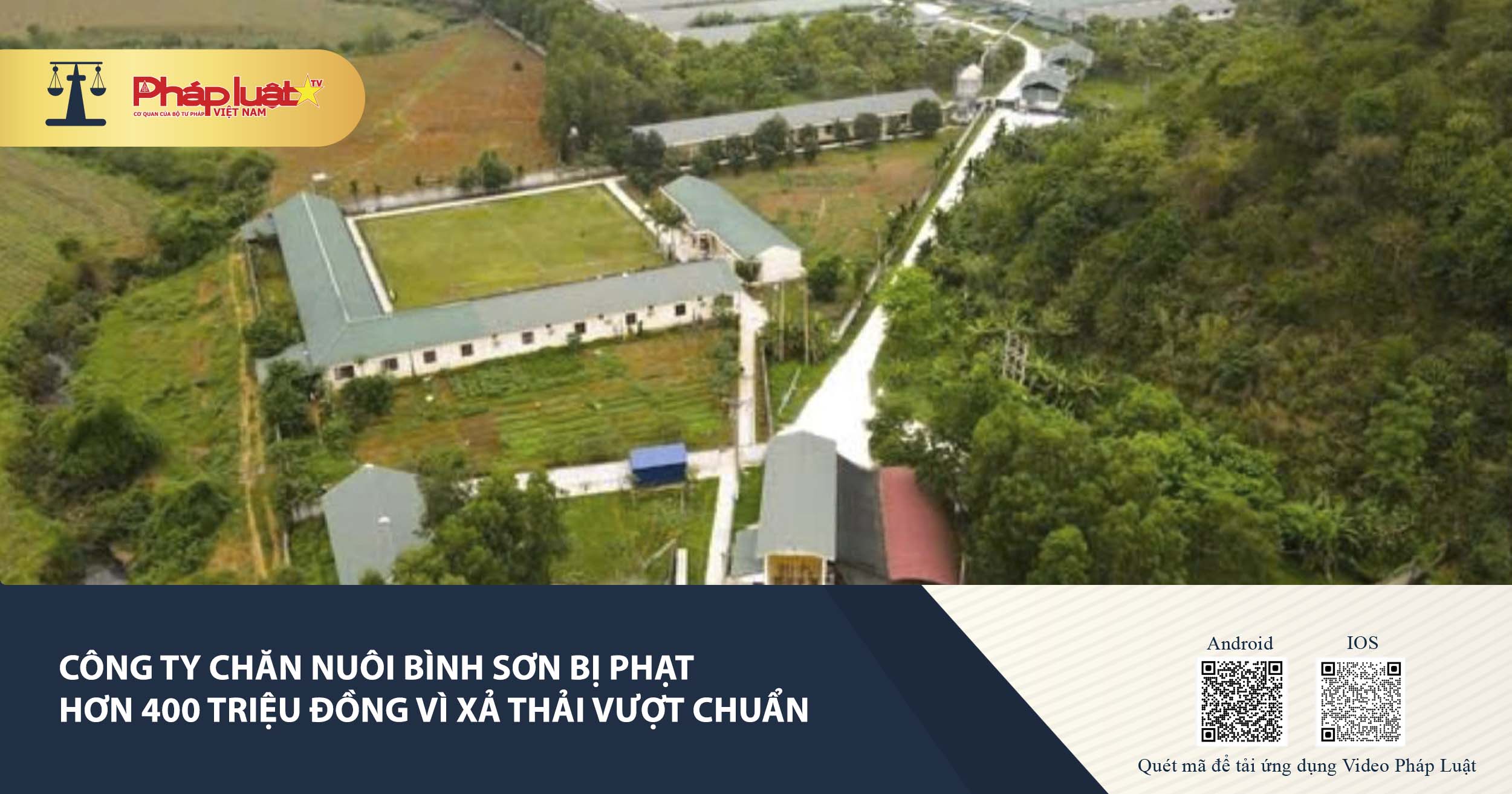 Công ty chăn nuôi Bình Sơn bị phạt hơn 400 triệu đồng vì xả thải vượt chuẩn