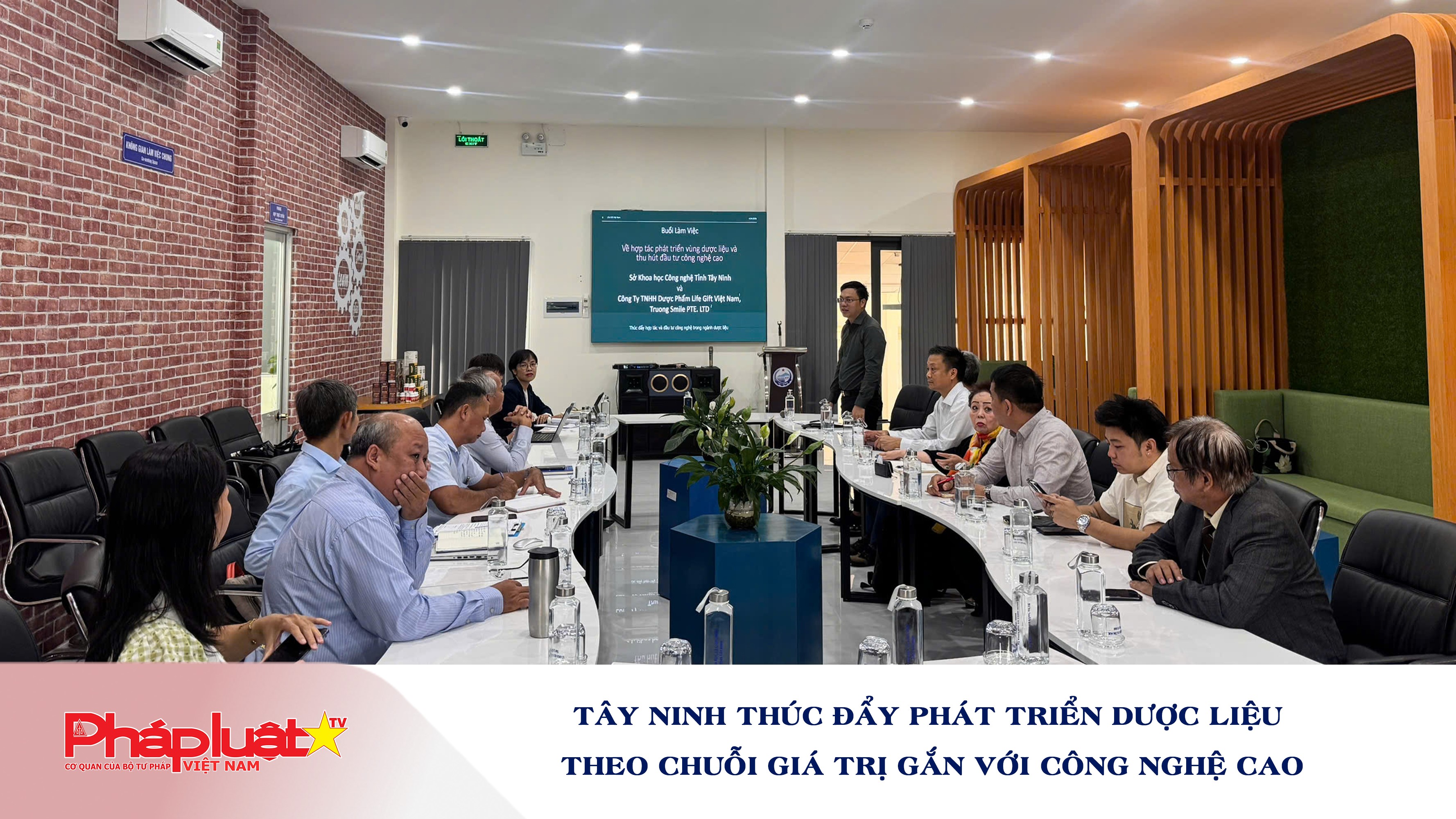 Tây Ninh thúc đẩy phát triển dược liệu theo chuỗi giá trị gắn với công nghệ cao