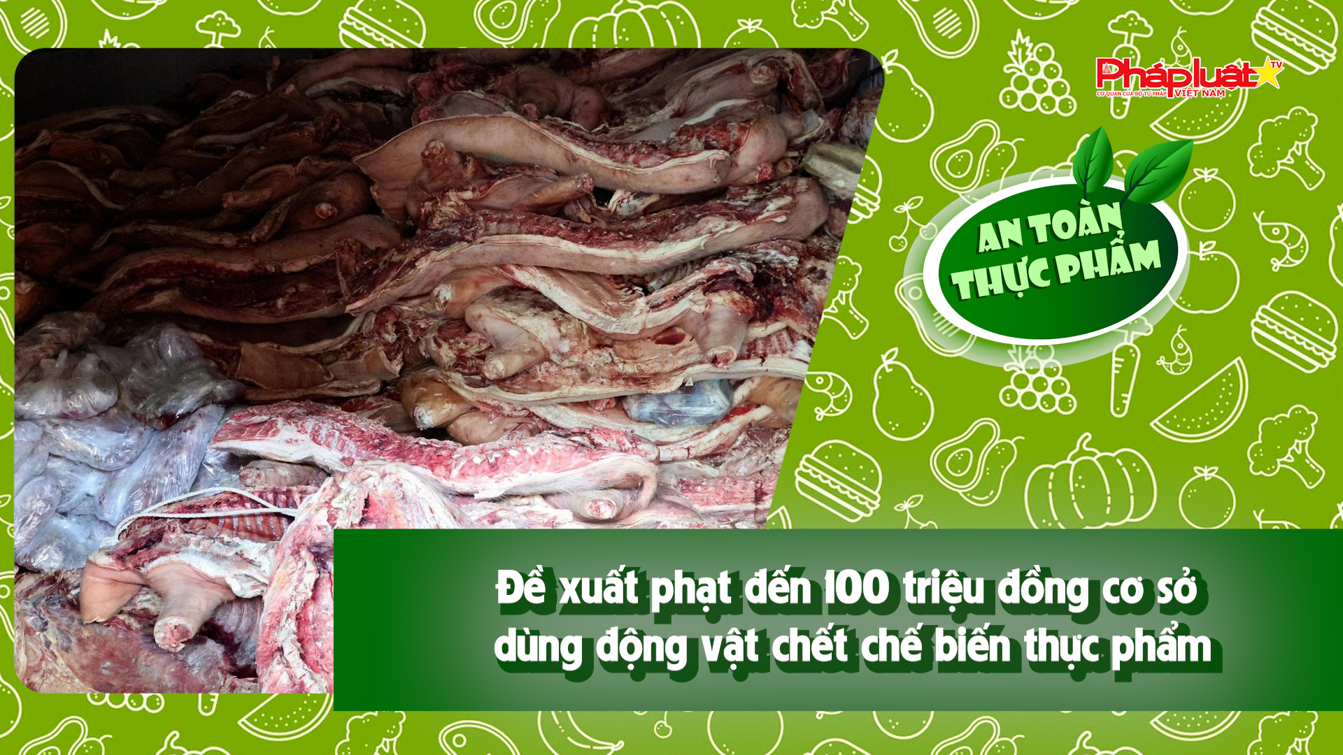 Bản tin An toàn Thực phẩm (ngày 8/5/2026): Đề xuất phạt đến 100 triệu đồng cơ sở dùng động vật chết chế biến thực phẩm