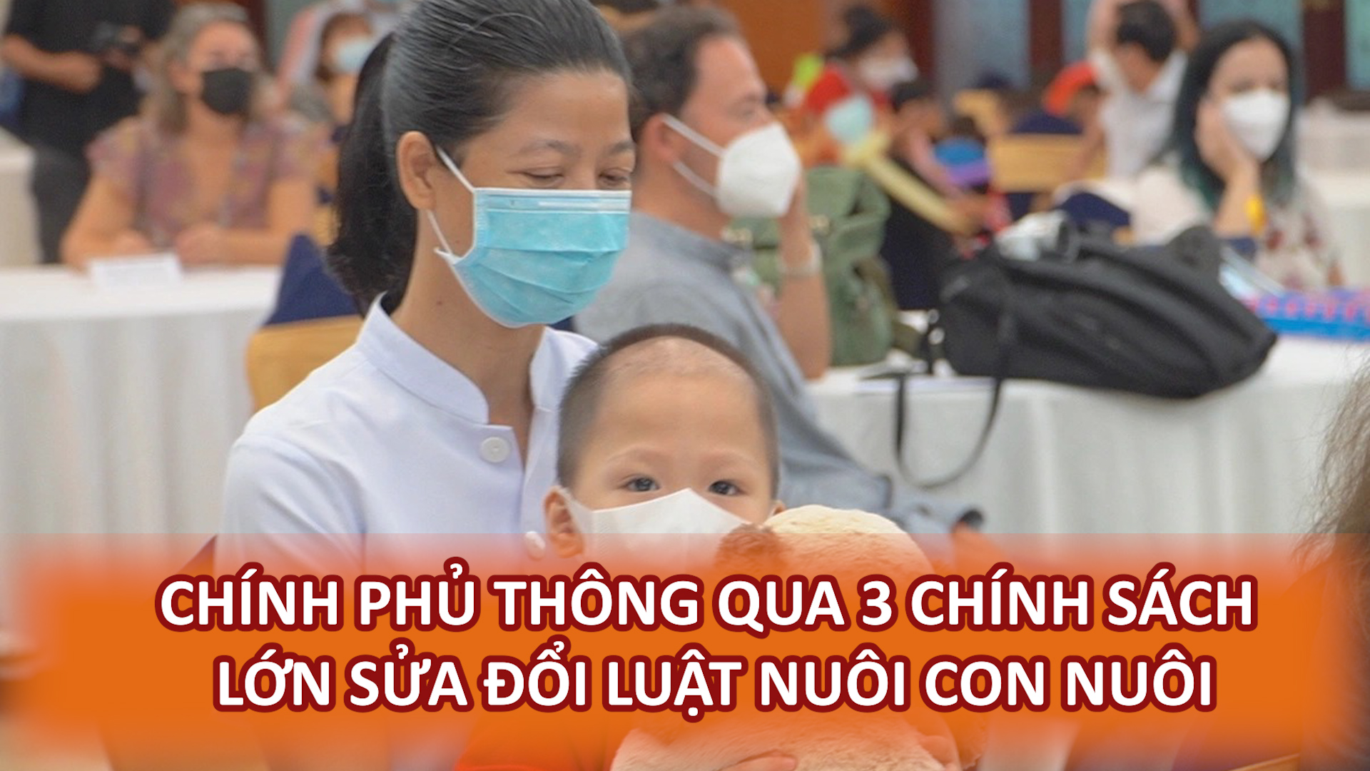 Bản tin Truyền thông chính sách (ngày 10/5/2026): Chính phủ thông qua 3 chính sách lớn sửa đổi Luật Nuôi con nuôi