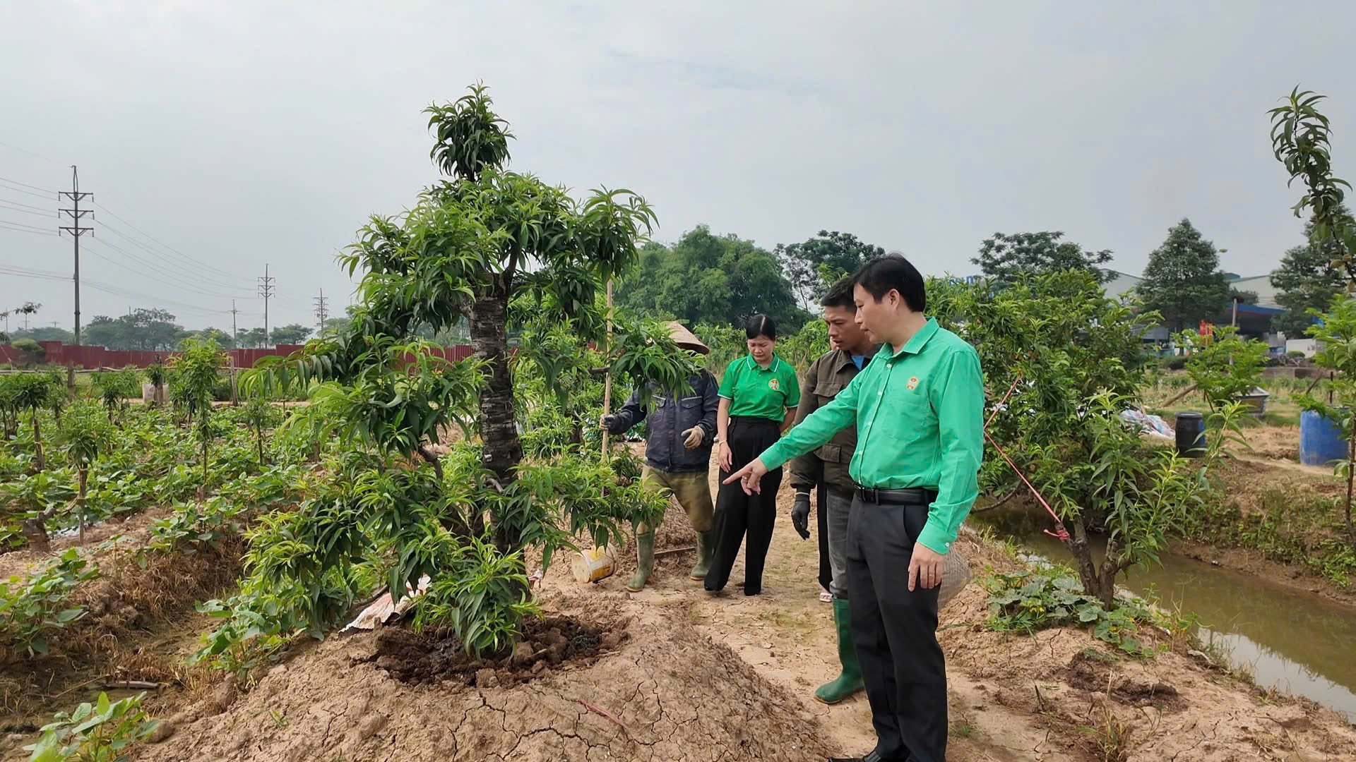 Thạch Thất nhân rộng các mô hình kinh tế nông nghiệp hiệu quả