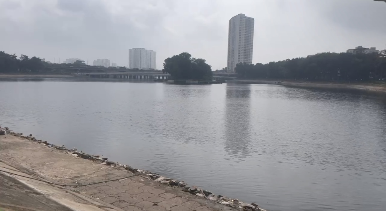 Cá chết tại hồ Linh Đàm, chính quyền địa phương xử lý ra sao?