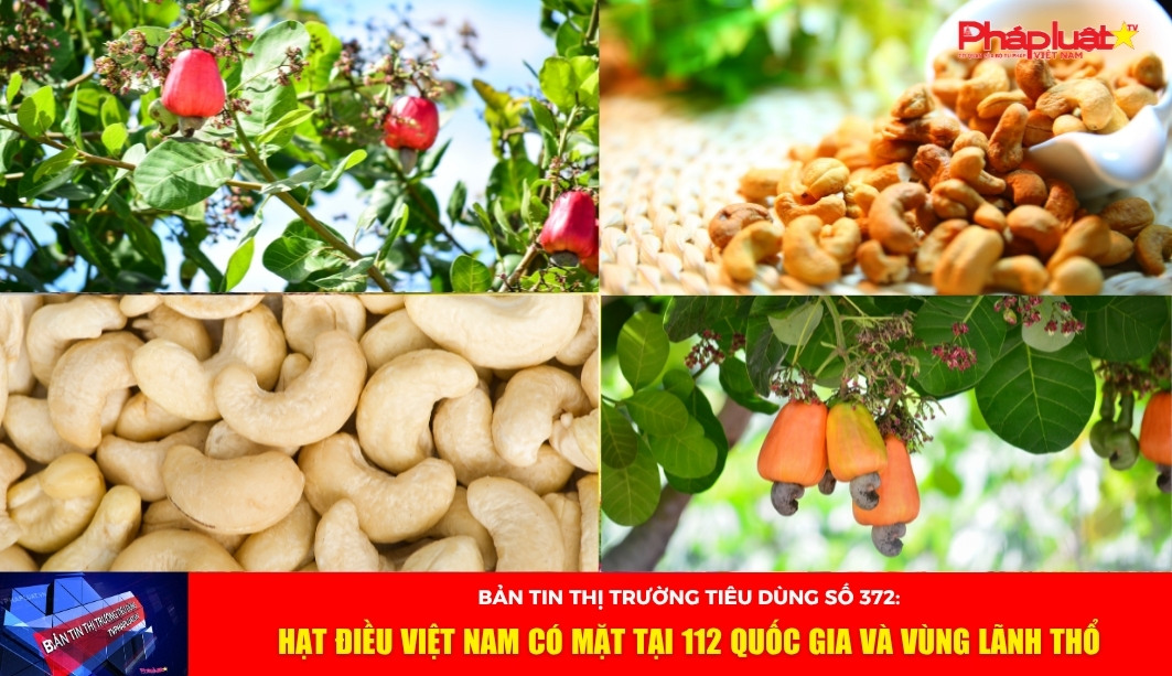  Bản tin Thị trường Tiêu dùng số 372: Hạt điều Việt Nam có mặt tại 112 quốc gia và vùng lãnh thổ
