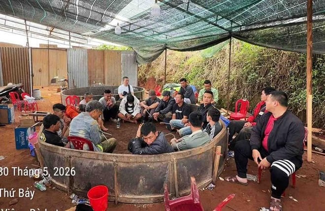 Điểm tin sáng 1/6: Đột kích điểm đá gà ăn tiền, tạm giữ hơn 20 người