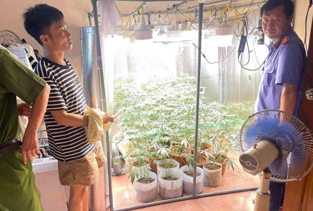 Điểm tin tối 11/6: Phát hiện người đàn ông trồng cần sa bằng hệ thống hiện đại tại nhà