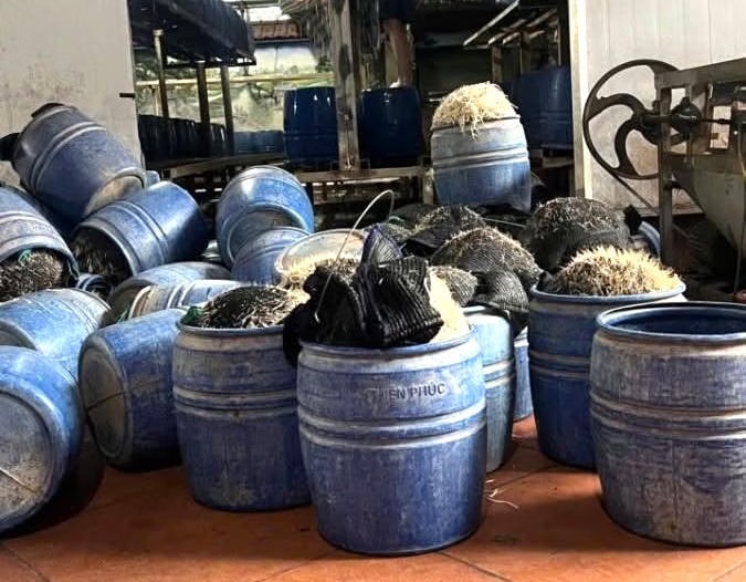 Sử dụng hóa chất cấm để sản xuất hơn 1,8 tấn giá đỗ, chủ cơ sở ở Hưng Yên bị khởi tố