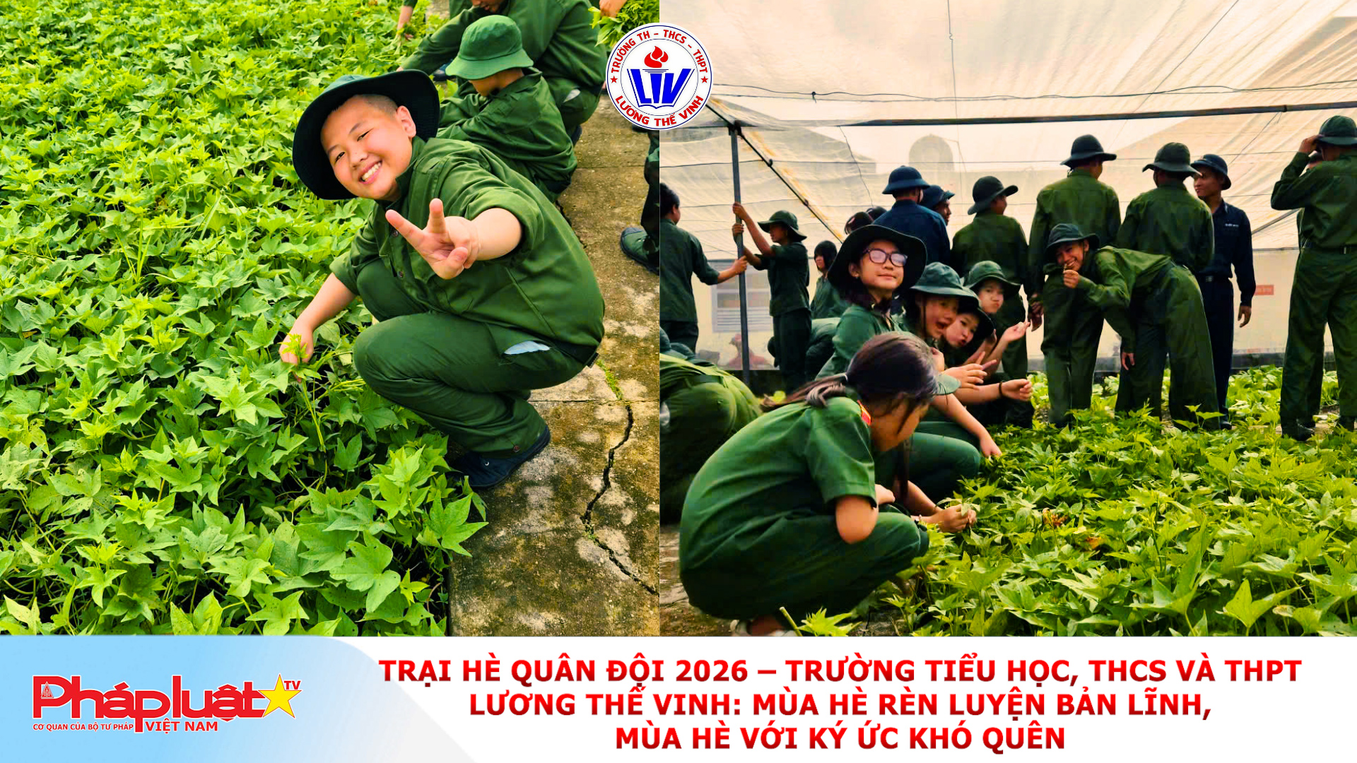 Trại Hè Quân Đội 2026 – Trường Tiểu học, THCS và THPT Lương Thế Vinh: Mùa hè rèn luyện bản lĩnh, mùa hè với ký ức khó quên