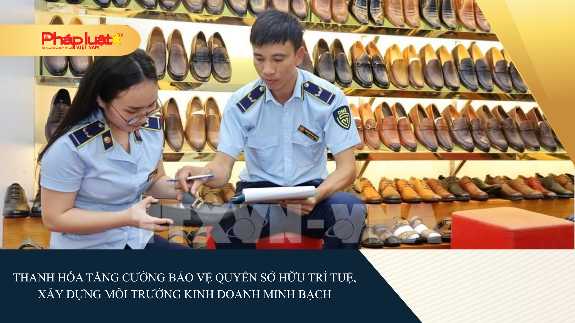 Thanh Hóa tăng cường bảo vệ quyền sở hữu trí tuệ, xây dựng môi trường kinh doanh minh bạch