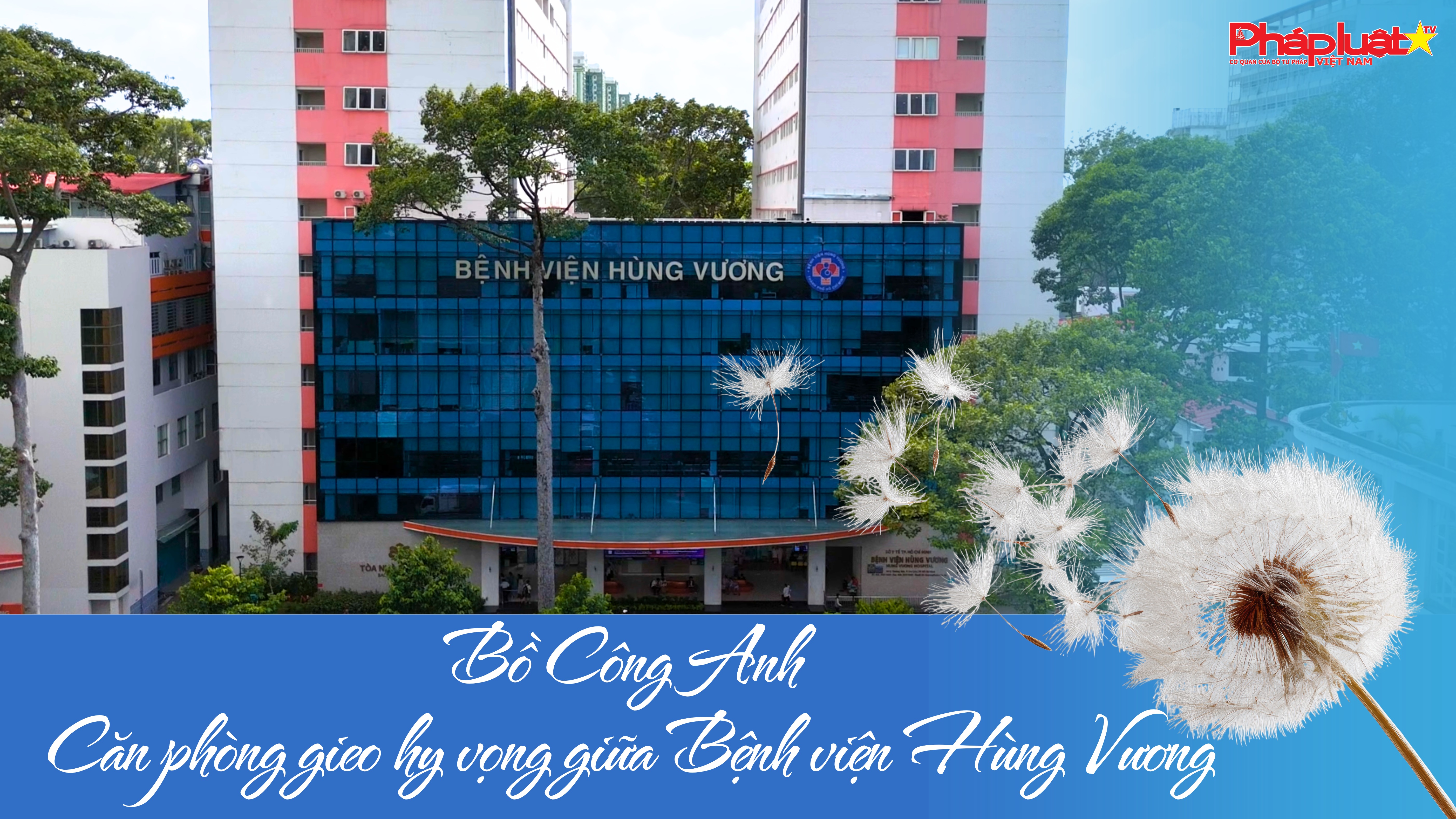Bồ Công Anh – Căn phòng gieo hy vọng giữa Bệnh viện Hùng Vương