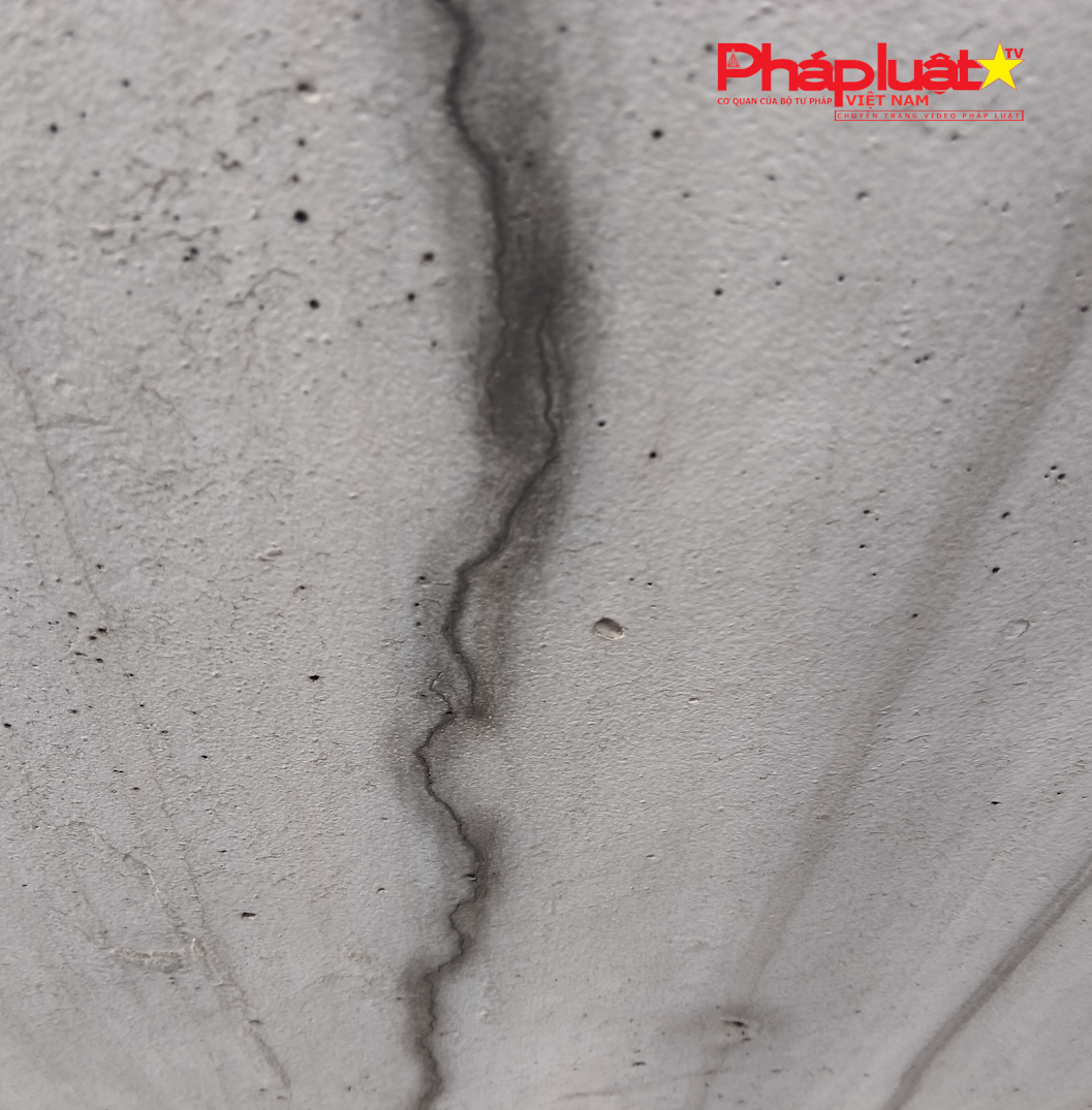 Sequence 05.00_00_40_27.Still009