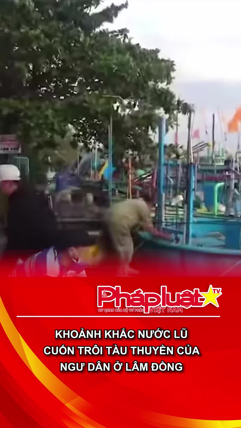 Khoảnh khắc lũ cuốn trôi tàu thuyền của ngư dân ở Lâm Đồng