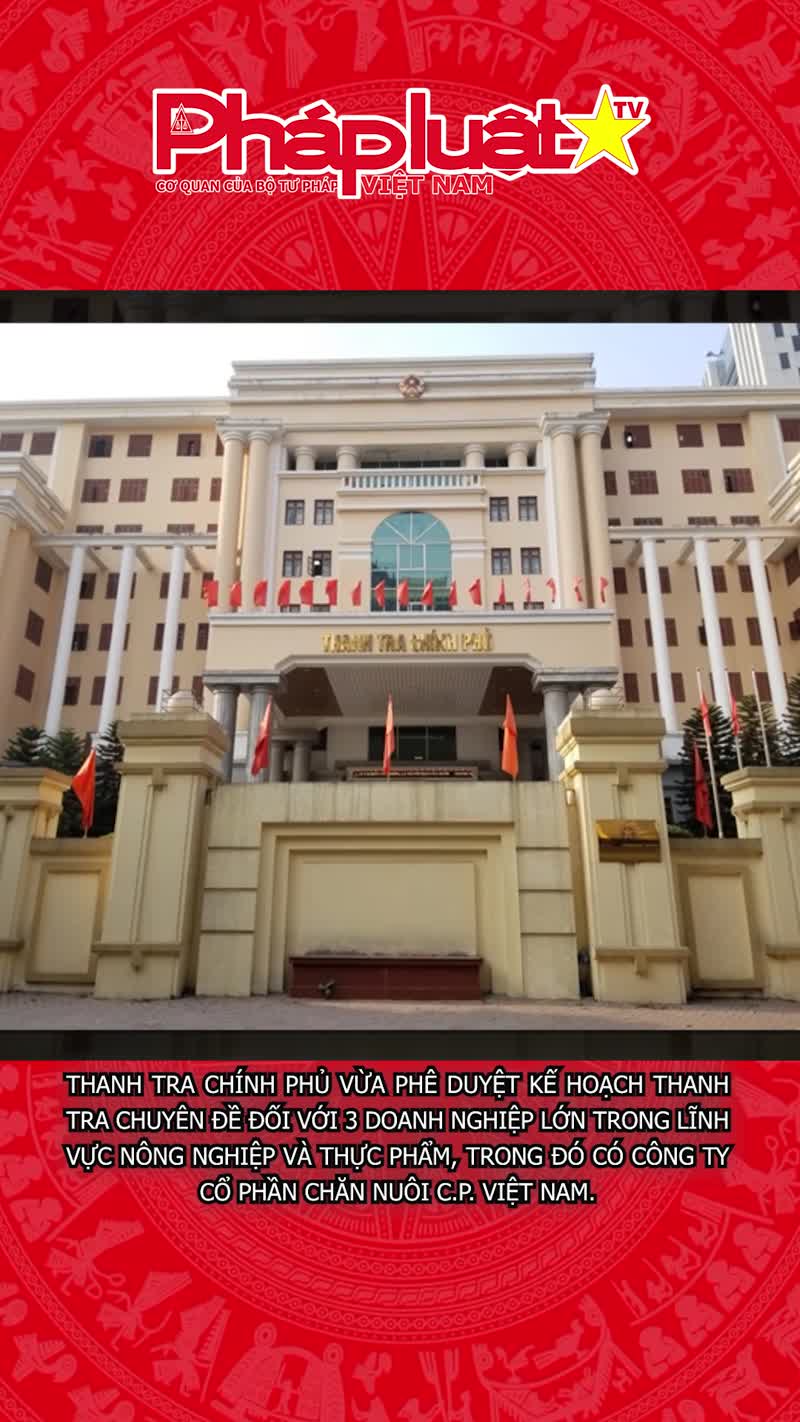 Thanh tra Công ty C.P. Việt Nam cùng 2 doanh nghiệp 
