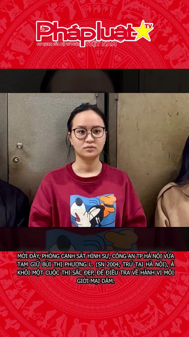 Á khôi sắc đẹp bị tạm giữ vì môi giới mại dâm