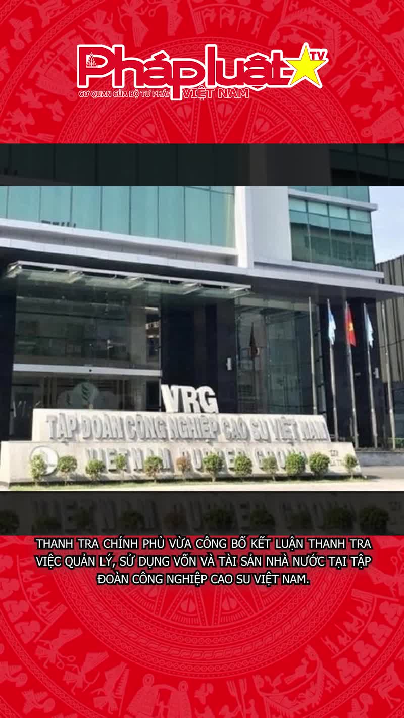 Đề nghị làm rõ thua lỗ tại các công ty thuộc Tập đoàn Cao su Việt Nam
