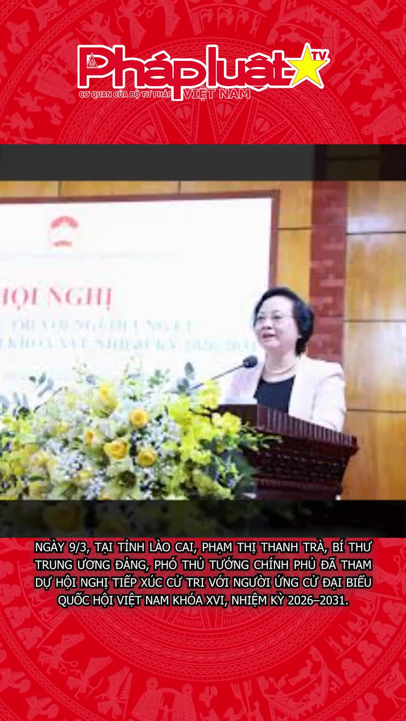 Phó Thủ tướng Phạm Thị Thanh Trà thông tin lộ trình cải cách tiền lương và cắt giảm thủ tục hành chính
