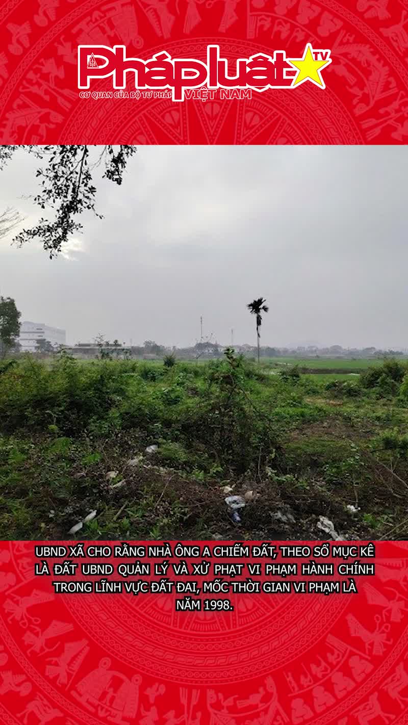 Làm sổ đỏ đất nông nghiệp, xã yêu cầu phải nộp phạt vi phạm từ 1998
