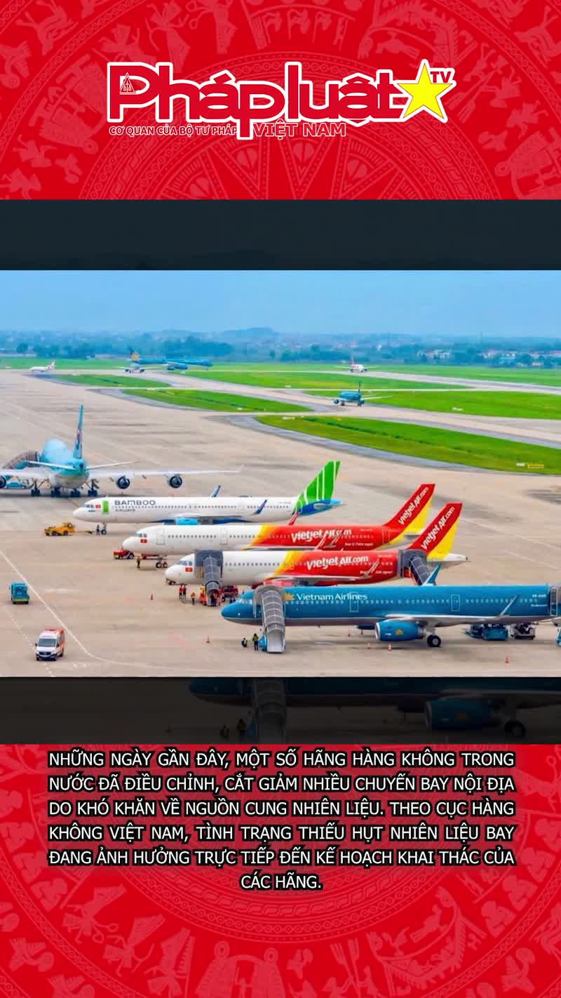 Chính thức: Loạt chuyến bay nội địa bị cắt giảm, tạm dừng