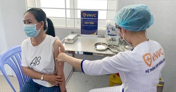 tvphapluat.vn